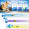 Interactive Dog Rolling Ball