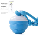 Interactive Dog Rolling Ball