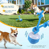 Interactive Dog Rolling Ball