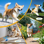 Interactive Dog Rolling Ball